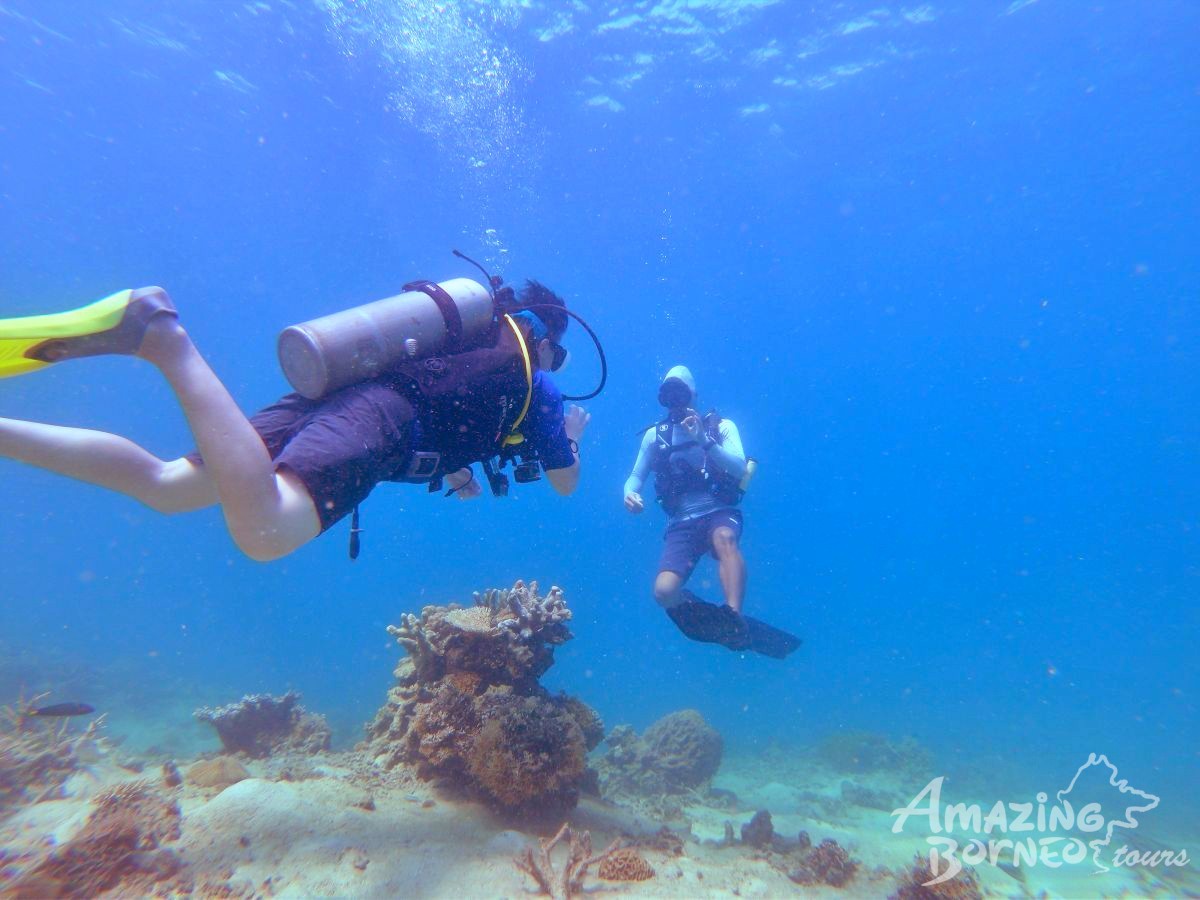 PADI Advanced Open Water Diving Course - Amazing Borneo Tours
