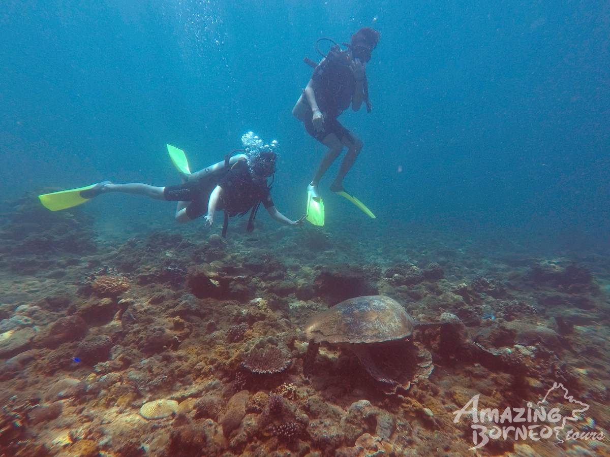 PADI Advanced Open Water Diving Course - Amazing Borneo Tours