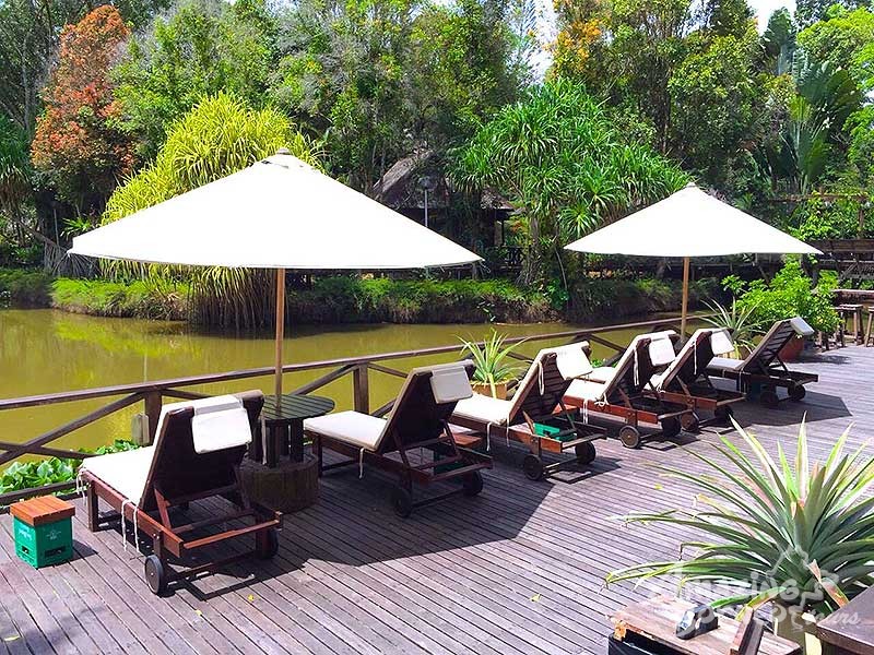 3D2N Sepilok Nature Resort Stay & Tour - Amazing Borneo Tours