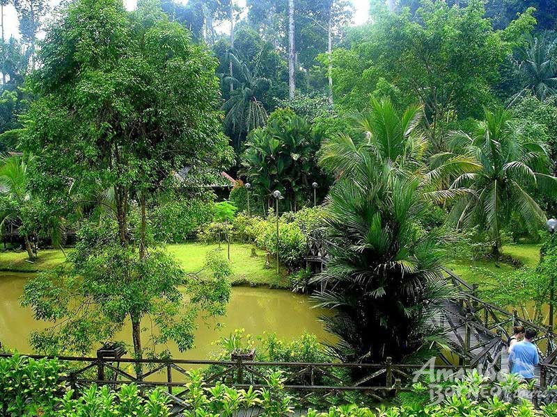 3D2N Sepilok Nature Resort Stay & Tour - Amazing Borneo Tours