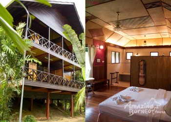 3D2N Sepilok Nature Resort Stay & Tour