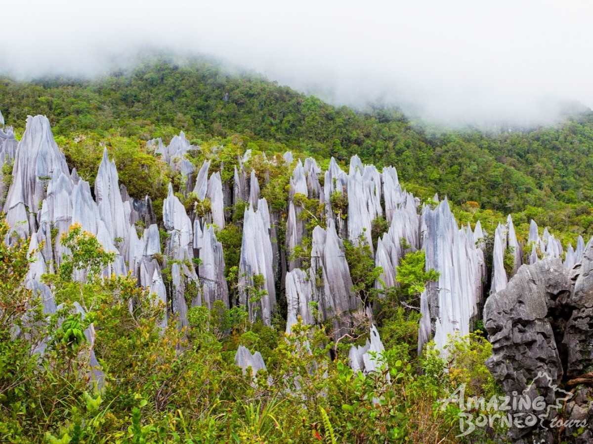 4D3N Mulu Pinnacles & Show Caves - Amazing Borneo Tours
