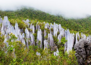 4D3N Mulu Pinnacles & Show Caves