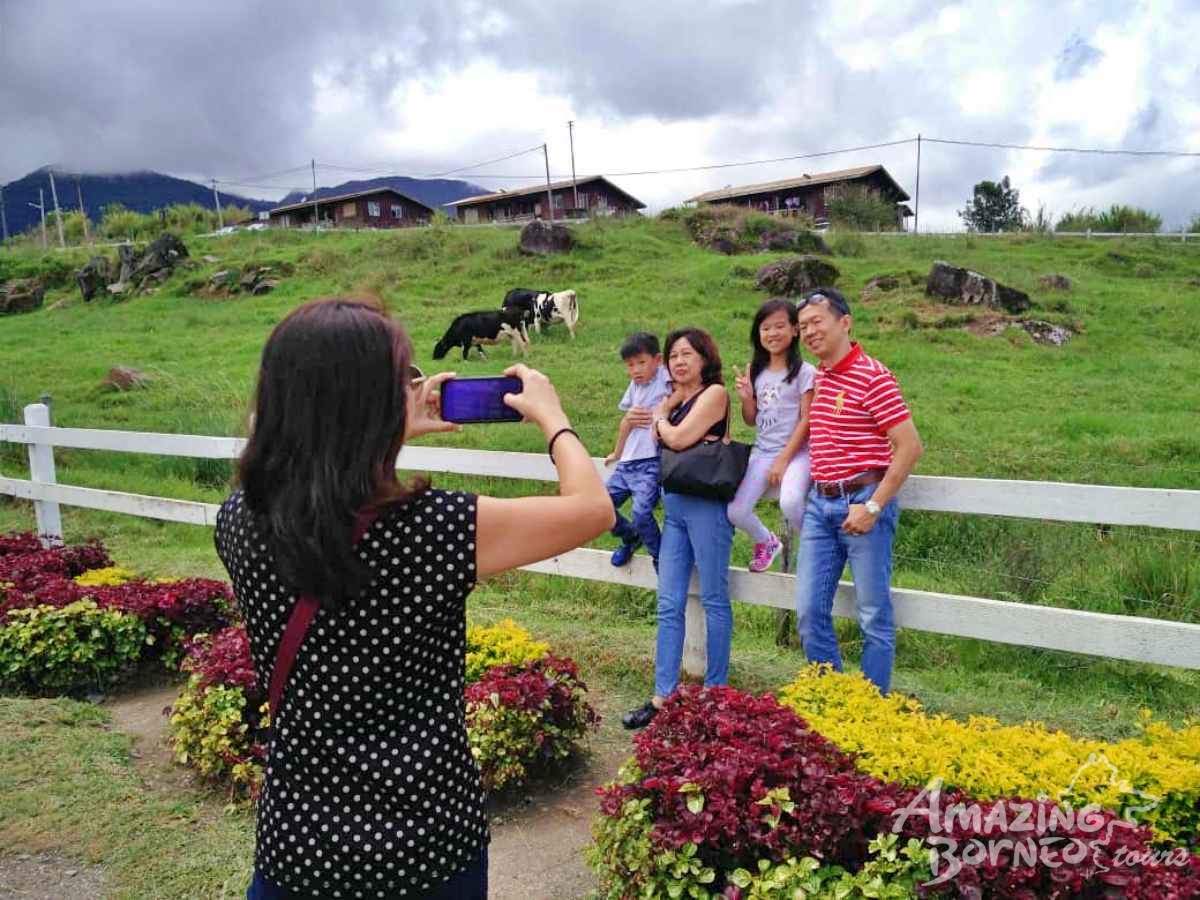 Kinabalu Park with Rumah Terbalik & Desa Cow Farm  - Amazing Borneo Tours