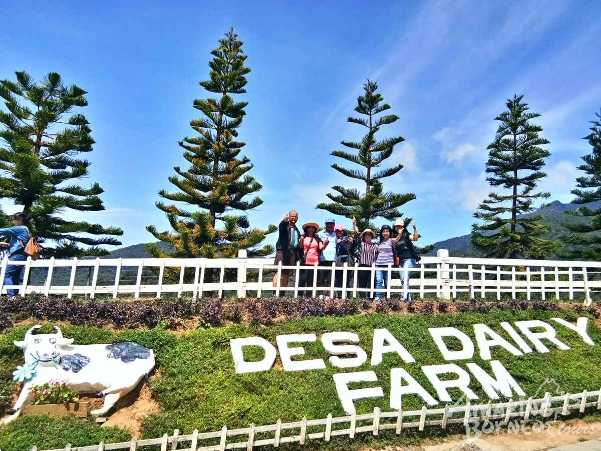 Kinabalu Park With Rumah Terbalik & Desa Cow Farm  - Amazing Borneo Tours