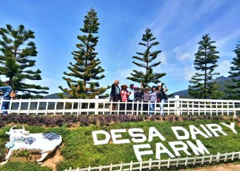 Kinabalu Park with Rumah Terbalik & Desa Cow Farm 