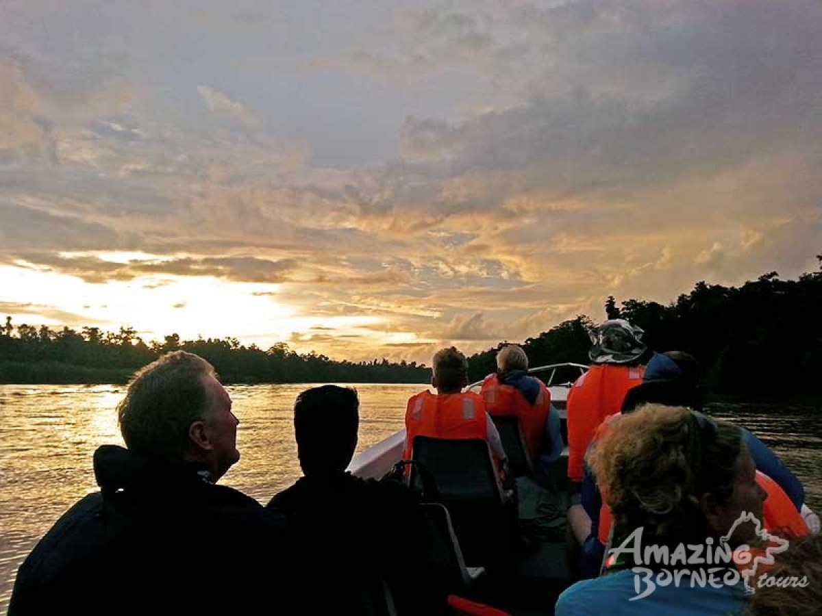 2D1N Myne Resort Package  ( Sandakan/ Sukau Bilit / Kinabatangan River)  - Amazing Borneo Tours
