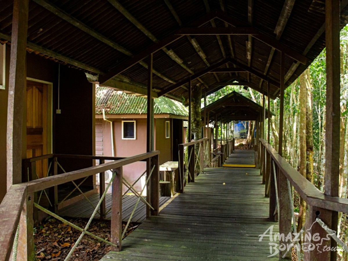 3D2N Myne Resort Package ( Sandakan/ Sukau Bilit / Kinabatangan River) - Amazing Borneo Tours