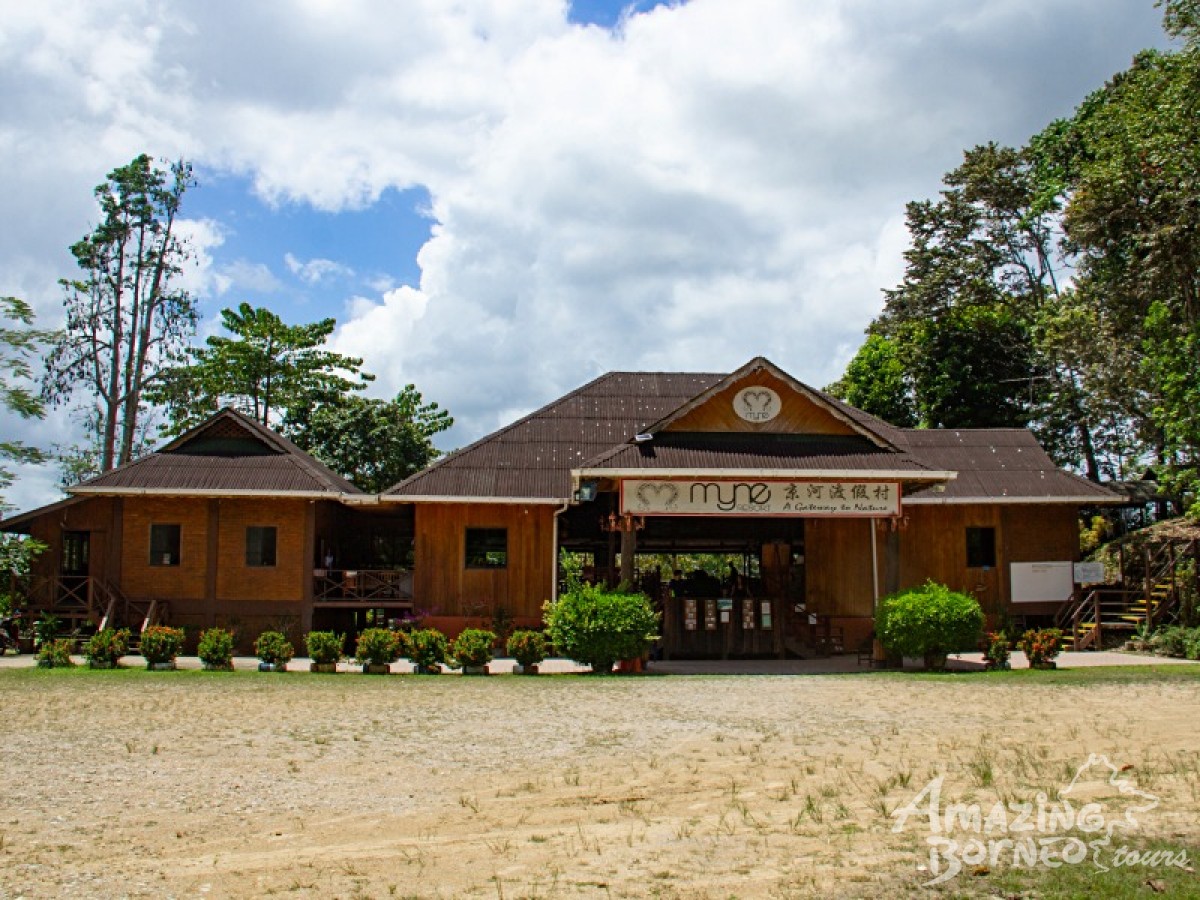 4D3N Myne Resort Package (Sandakan/ Sukau Bilit / Kinabatangan River) - Amazing Borneo Tours