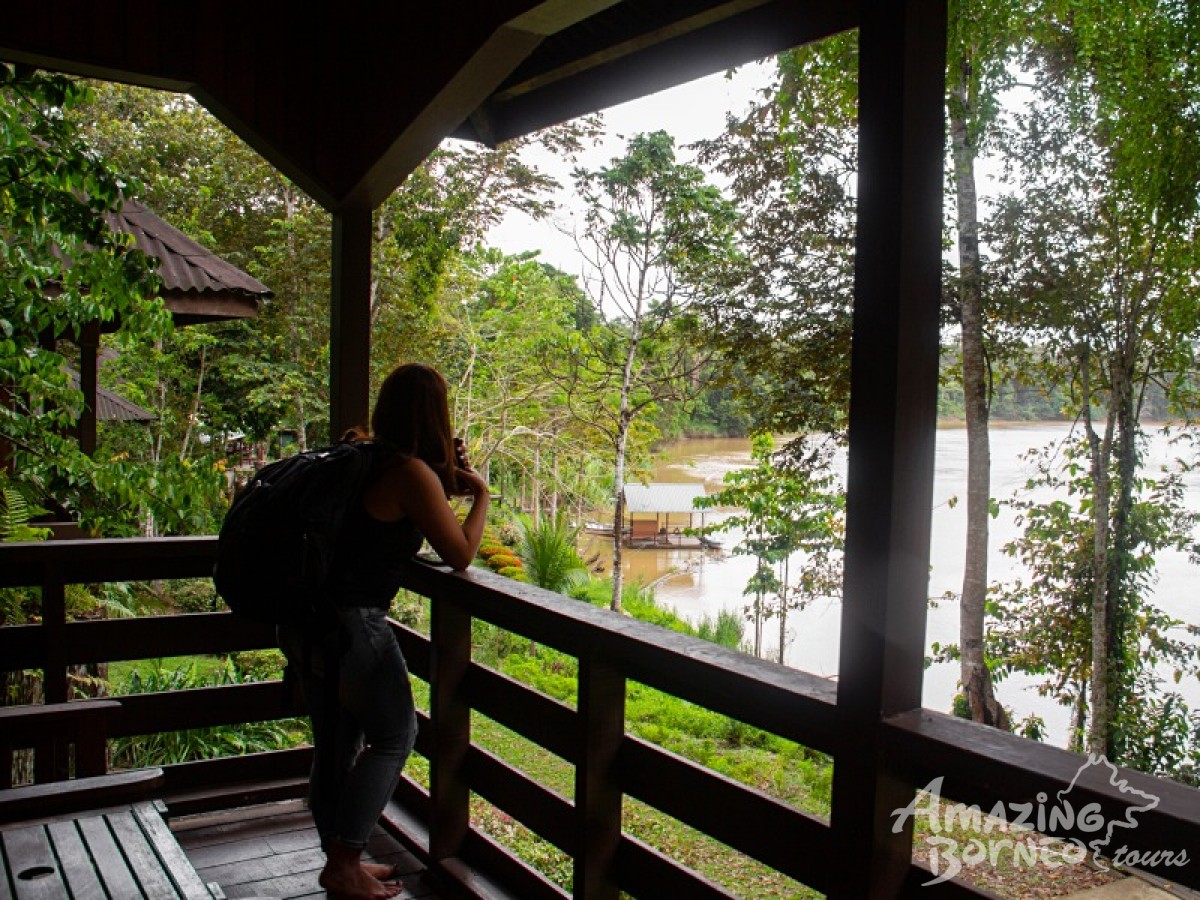 4D3N Myne Resort Package (Sandakan/ Sukau Bilit / Kinabatangan River) - Amazing Borneo Tours