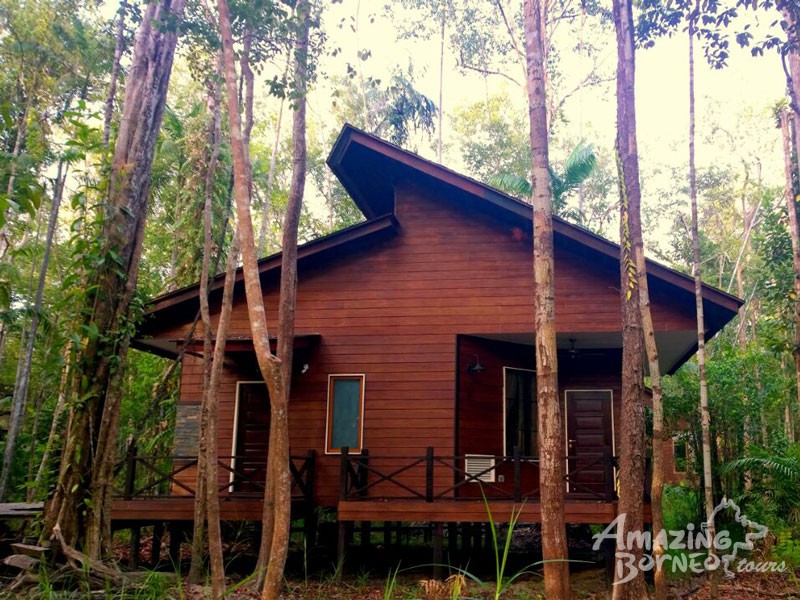 2D1N Abai Kinabatangan Wetlands Resort - Amazing Borneo Tours