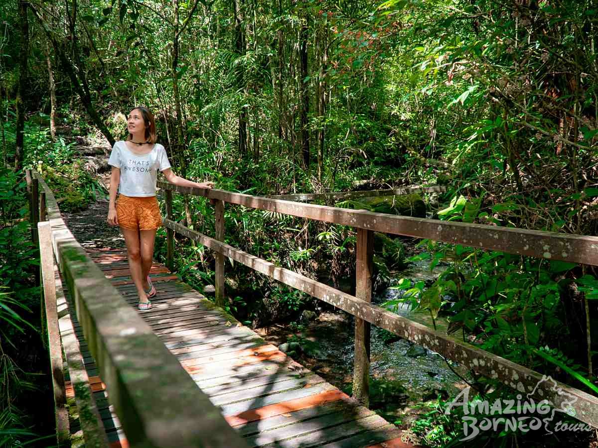 2D1N Kinabalu Park & Poring Hot Spring & Sabah Tea Garden Tour - Amazing Borneo Tours