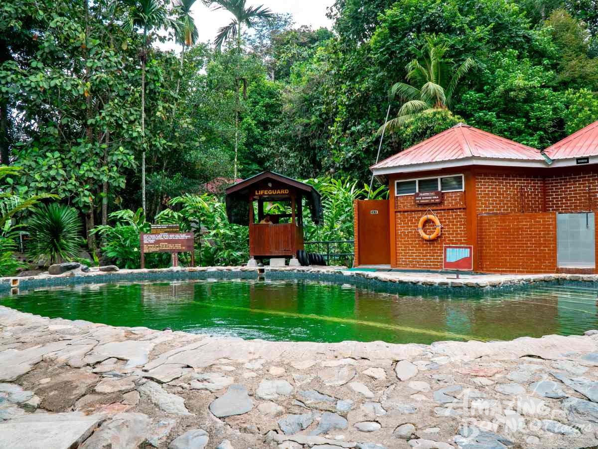 2D1N Kinabalu Park & Poring Hot Spring & Sabah Tea Garden Tour - Amazing Borneo Tours