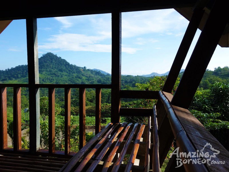 Sabah Tea Resort - Amazing Borneo Tours
