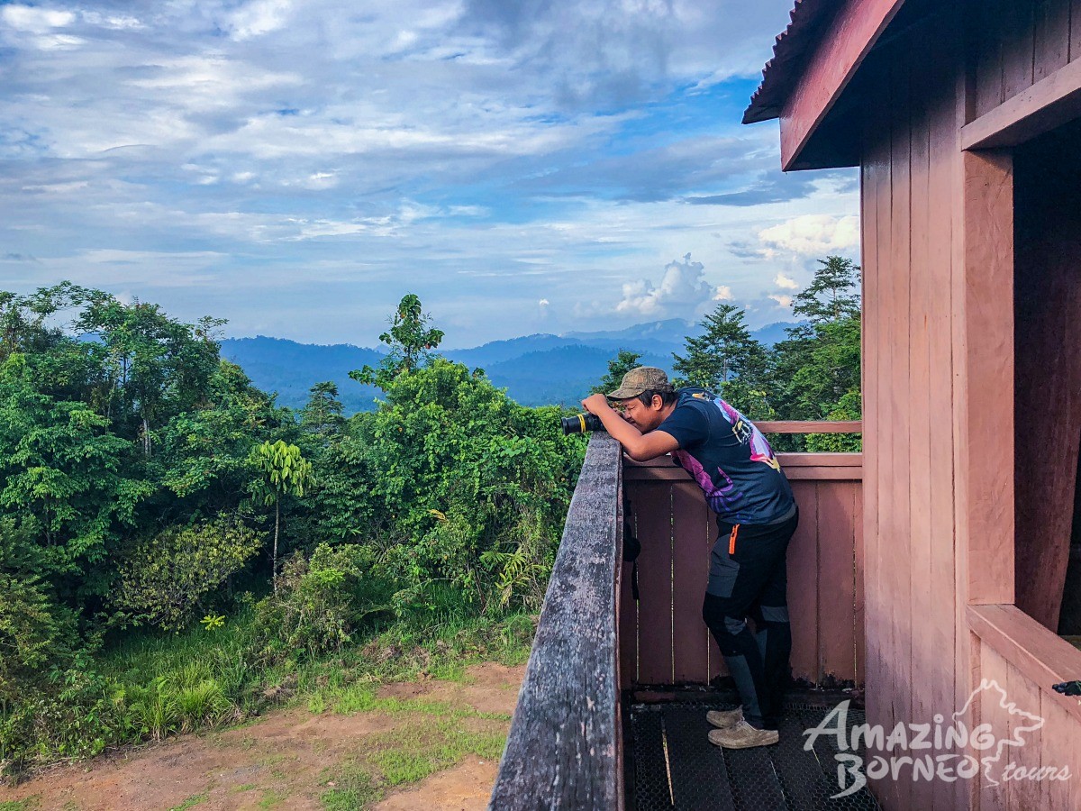 4D3N Danum Valley Field Centre - Nature Lover Experience (Budget) - Amazing Borneo Tours