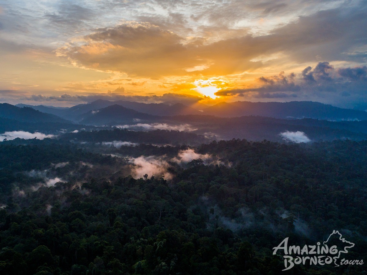 3D2N Danum Valley Field Centre - Nature Lover Experience (Budget) - Amazing Borneo Tours