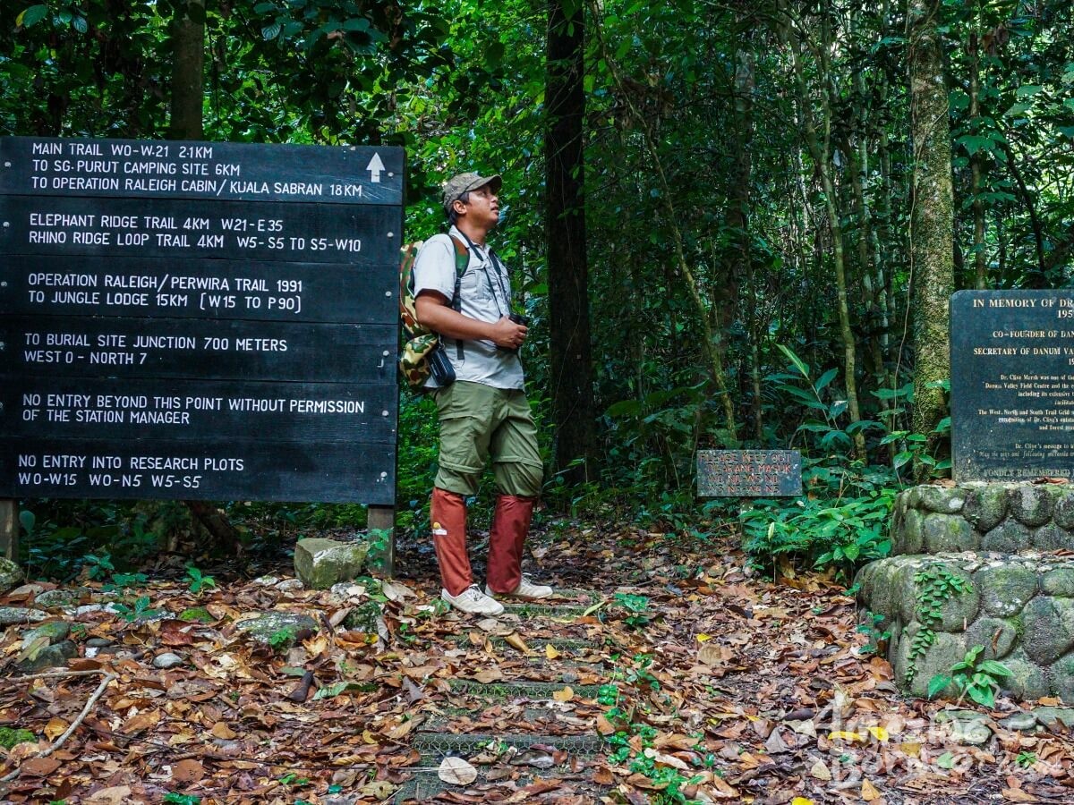 3D2N Danum Valley Field Centre - Nature Lover Experience (Budget) - Amazing Borneo Tours