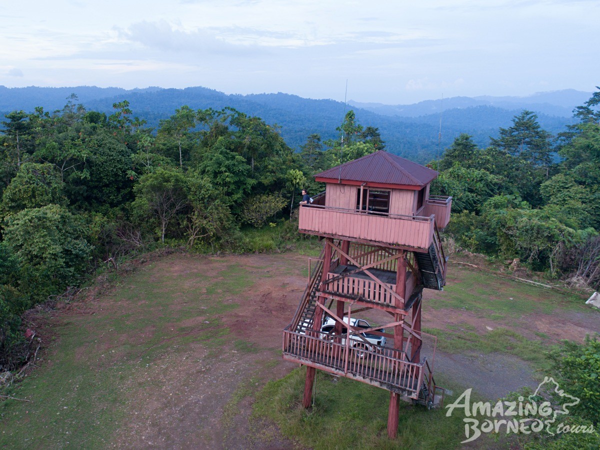 3D2N Danum Valley Field Centre - Nature Lover Experience (Budget) - Amazing Borneo Tours