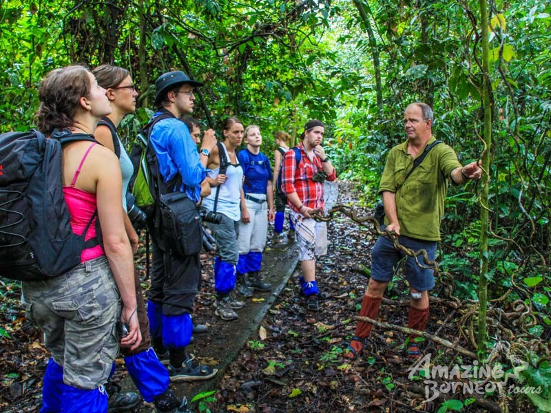 3D2N Danum Field Centre - Nature Lover Experience (Budget) Amazing Borneo Tours