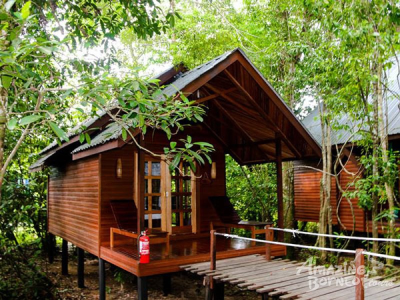 2D1N Borneo Natural Sukau Bilit Resort - Kinabatangan River Cruises & Jungle Walk (Budget) - Amazing Borneo Tours