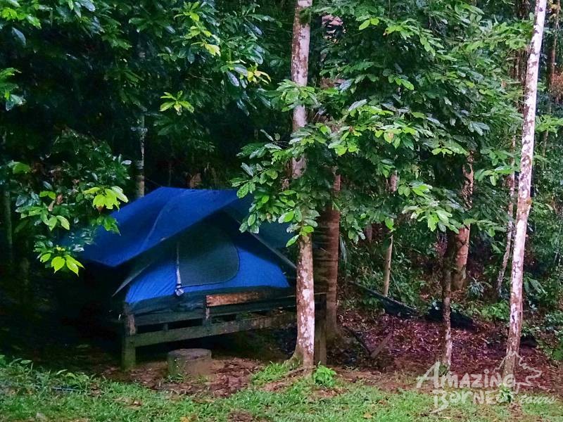 4D3N OROU SAPULOT - MYSTICAL BORNEO CAVE & PINNACLES ADVENTURE WITH KALIMANTAN BOAT RIDE - Amazing Borneo Tours