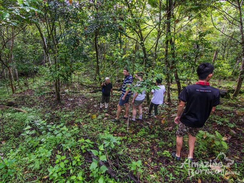 4D3N Orou Sapulot - Mystical Borneo Cave & Pinnacles Adventure with Kalimantan Boat Ride - Amazing Borneo Tours