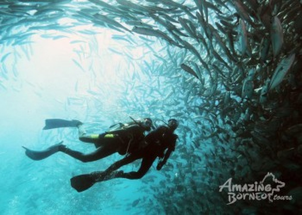 Mabul Island: Sipadan - Borneo Divers Mabul Resort - Amazing Borneo Tours