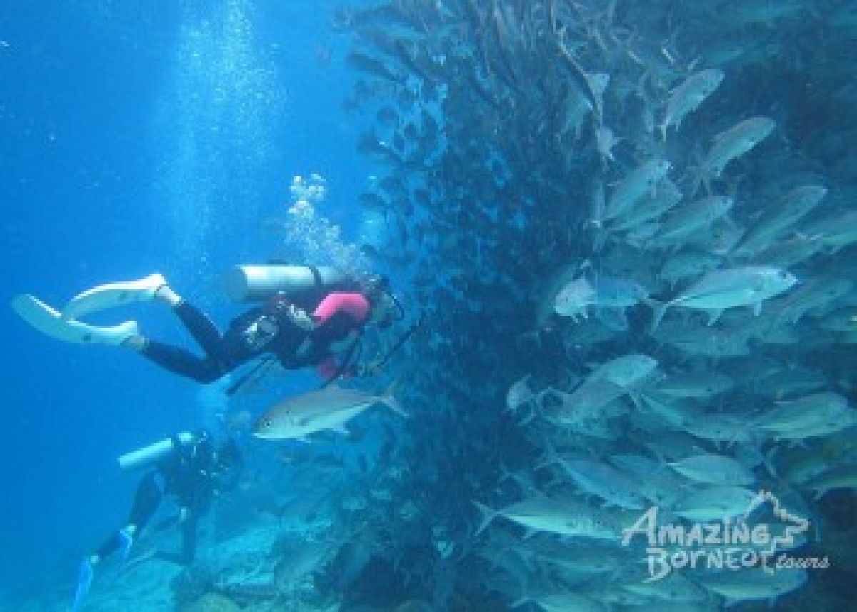 Mabul Island: Sipadan - Borneo Divers Mabul Resort - Amazing Borneo Tours