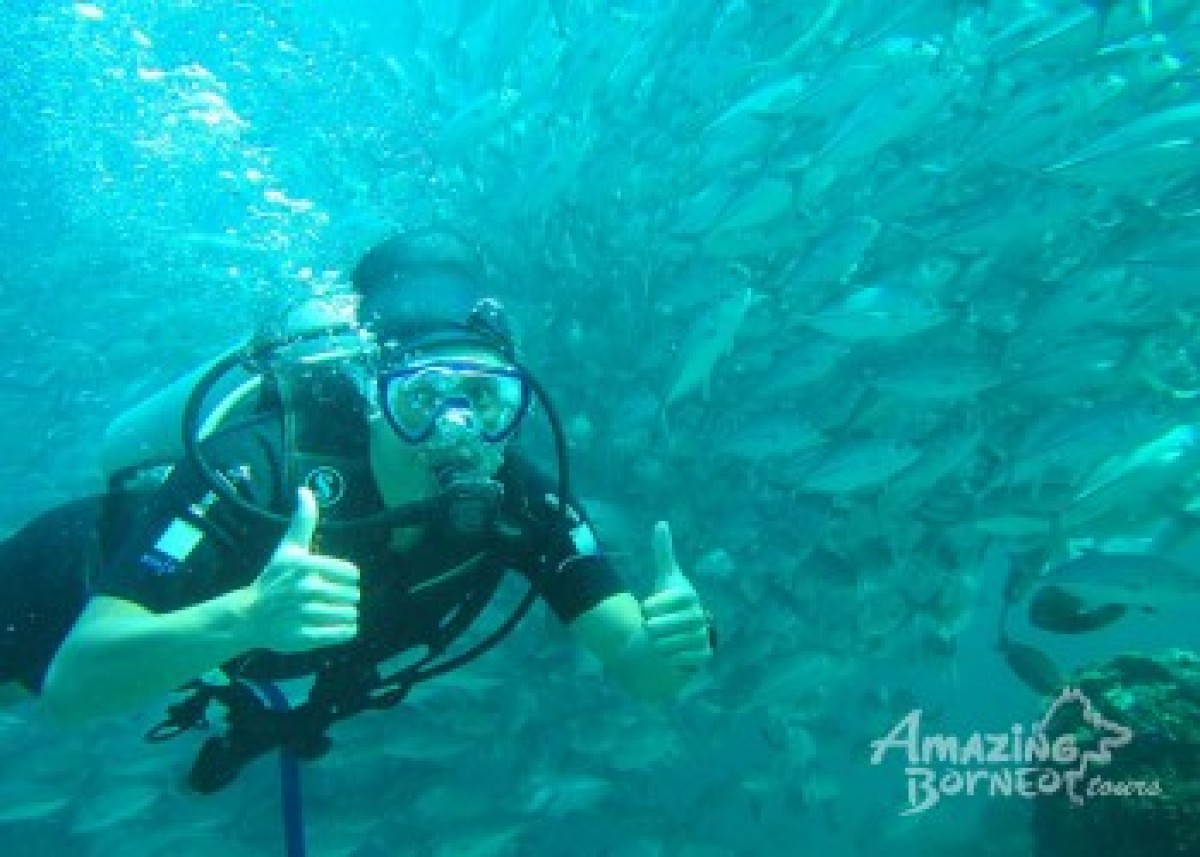 Mabul Island: Sipadan - Borneo Divers Mabul Resort - Amazing Borneo Tours