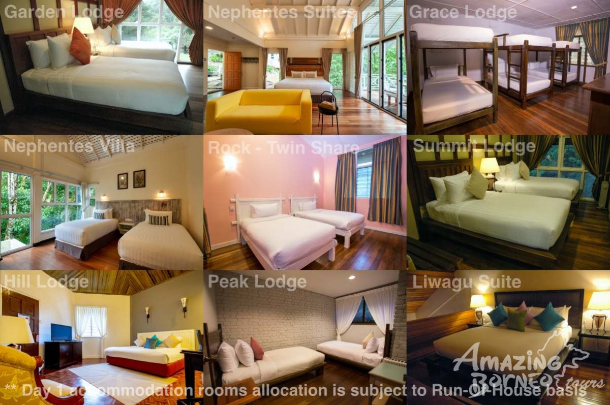 3D2N Mount Kinabalu Climb With Via Ferrata & Highland Resort Stay (Walk The Torq) - Amazing Borneo Tours