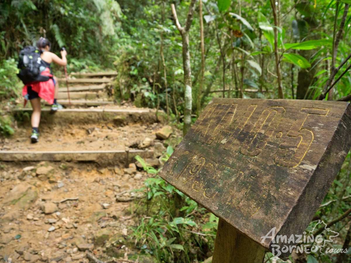 2D1N Mount Kinabalu Climb With Via Ferrata (Low’s Peak Circuit) - Amazing Borneo Tours