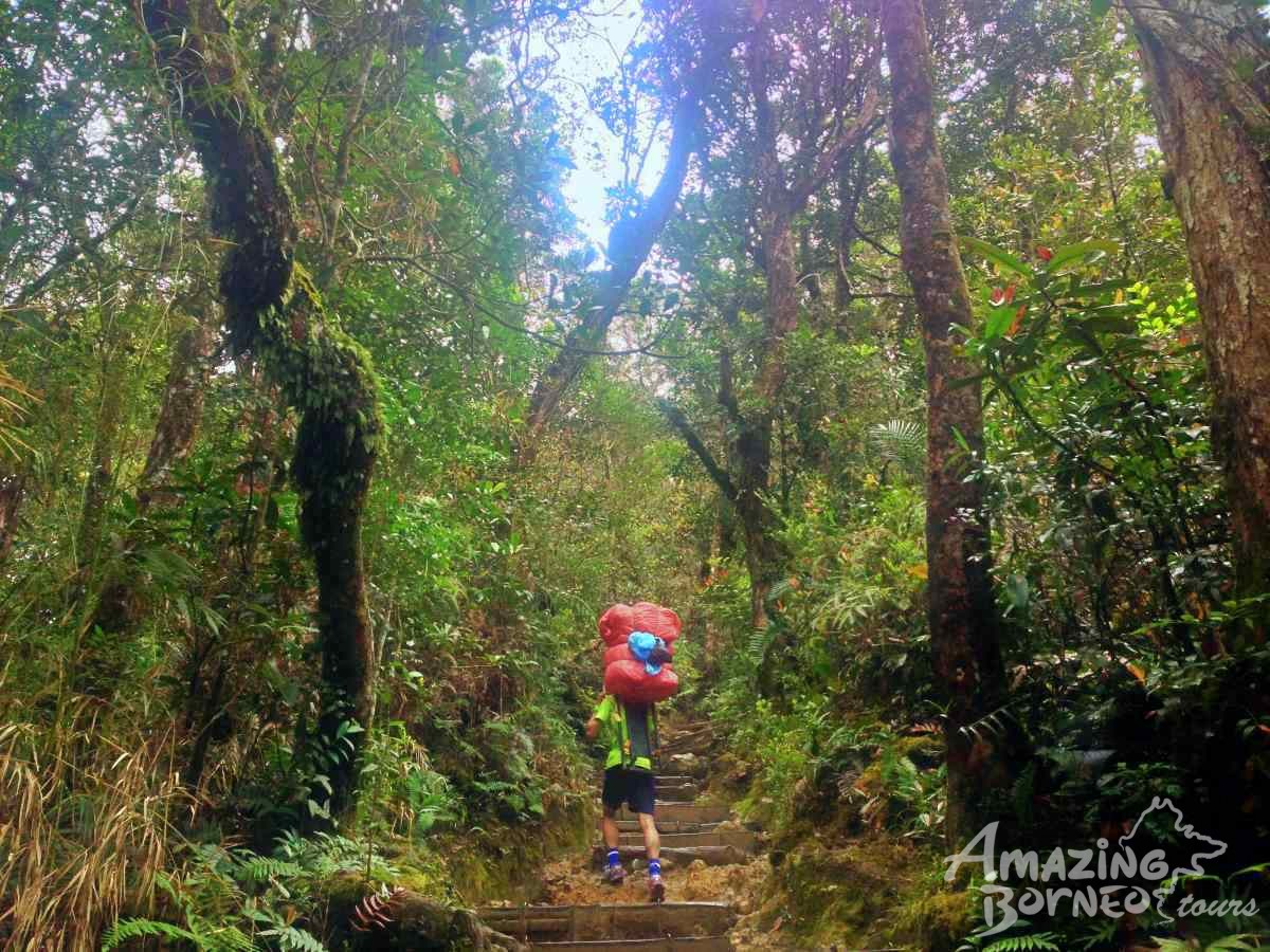 2D1N Mount Kinabalu Climb With Via Ferrata (Low’s Peak Circuit) - Amazing Borneo Tours