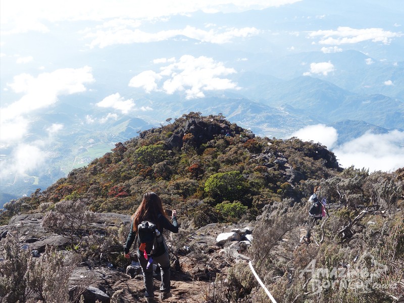3D2N Mount Kinabalu Climb & Kinabalu Park Stay (Private Room) - Amazing Borneo Tours