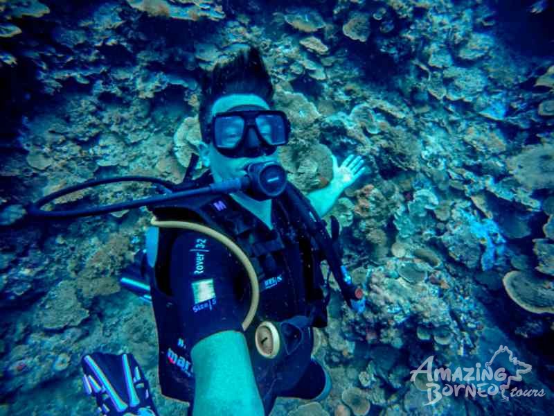 SeaTango's Ballroom - A newly discovered dive site in Sabah! - Amazing Borneo Tours