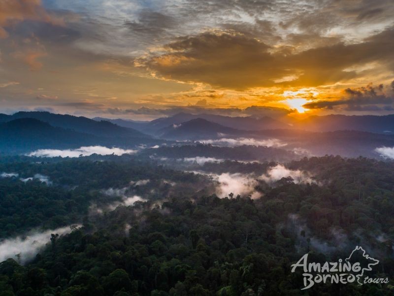 5D4N Jewels Of Danum Valley Combo  - Amazing Borneo Tours