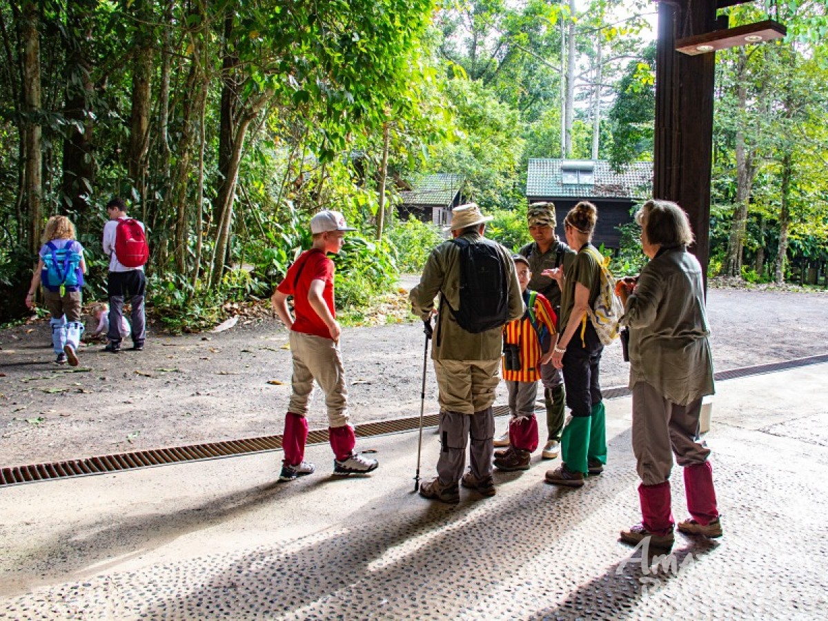 5D4N Jewels Of Danum Valley Combo  - Amazing Borneo Tours