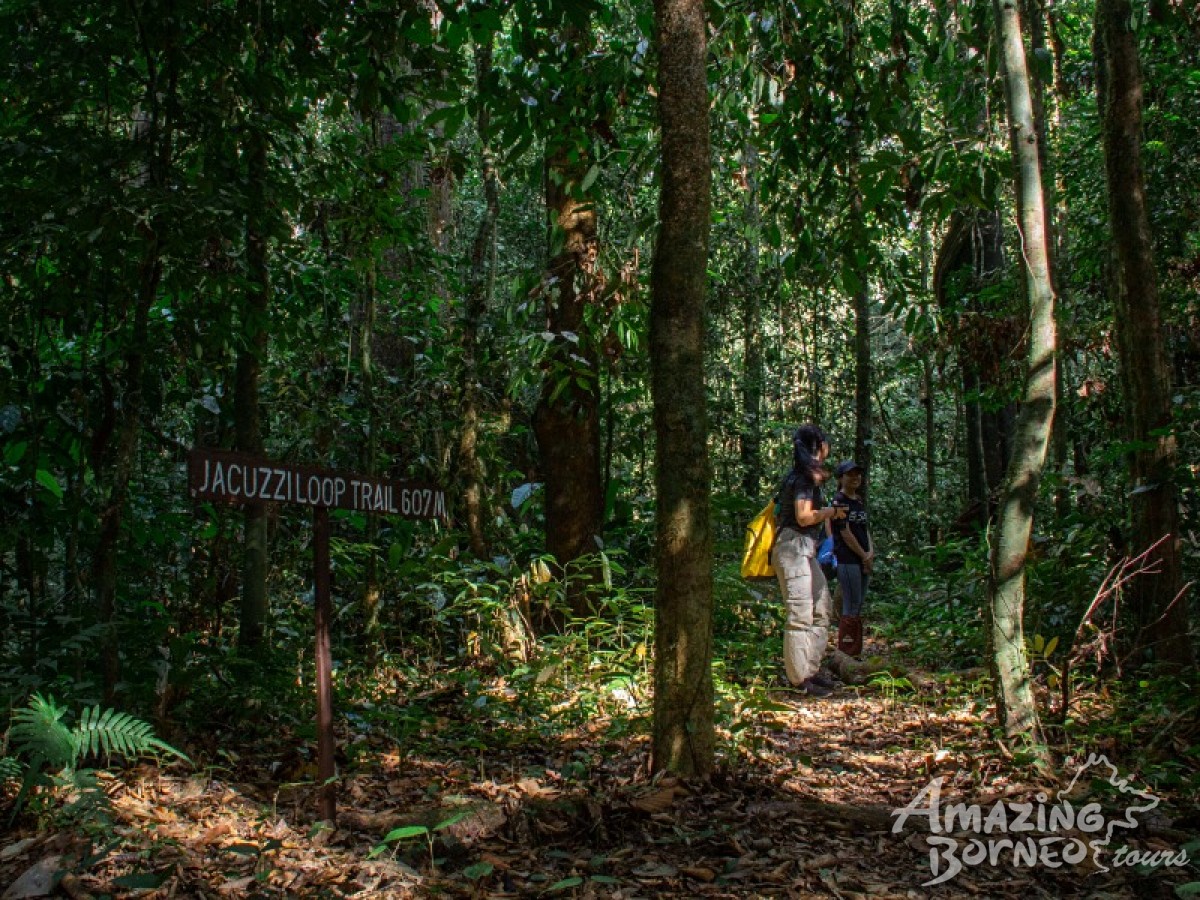 5D4N Jewels Of Danum Valley Combo  - Amazing Borneo Tours