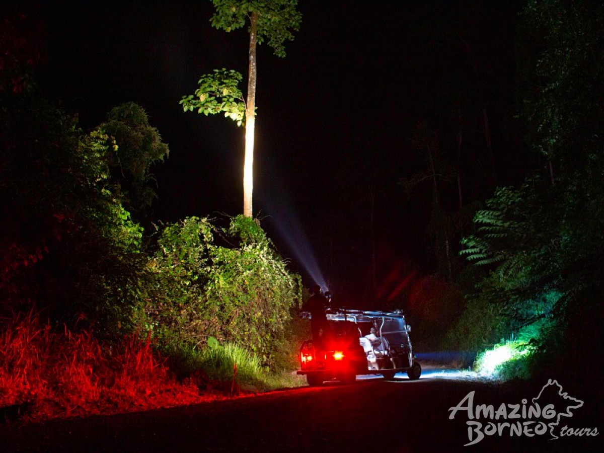 5D4N Jewels Of Danum Valley Combo  - Amazing Borneo Tours