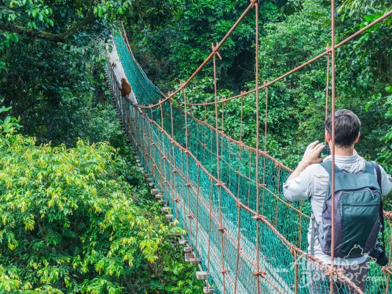 6D5N DANUM VALLEY & SEMPORNA COMBO (Borneo Rainforest Lodge & Mabul Water Bungalow) - Amazing Borneo Tours