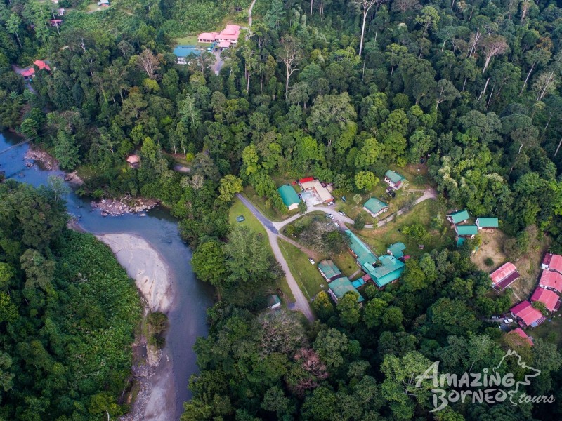 6D5N DANUM VALLEY & SEMPORNA COMBO (BUDGET PACKAGE) - 3D2N DANUM VALLEY FIELD CENTRE & 4D3N SIPADAN-MABUL RESORT - draft - Amazing Borneo Tours