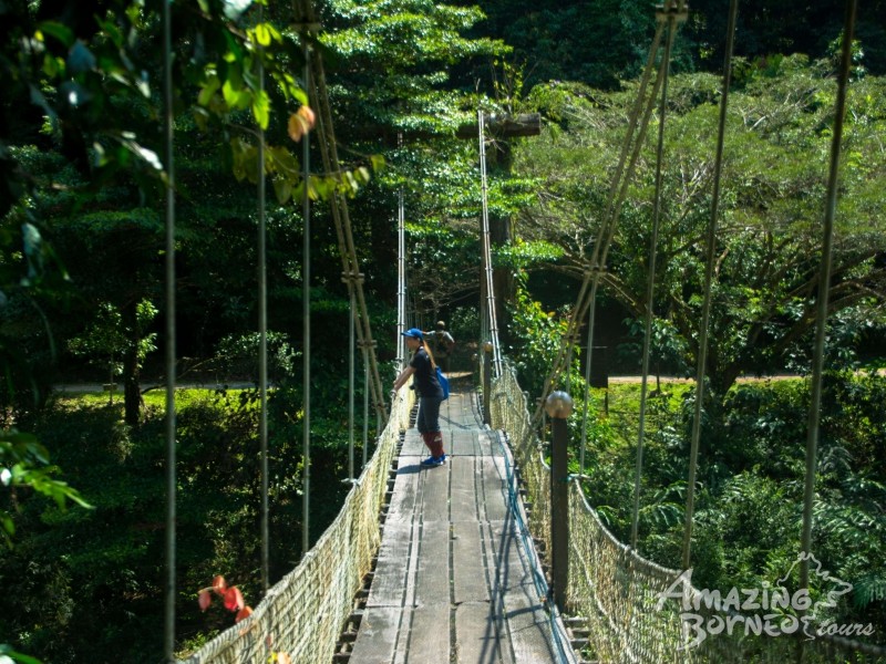 6D5N DANUM VALLEY & SEMPORNA COMBO (BUDGET PACKAGE) - 3D2N DANUM VALLEY FIELD CENTRE & 4D3N SIPADAN-MABUL RESORT - draft - Amazing Borneo Tours