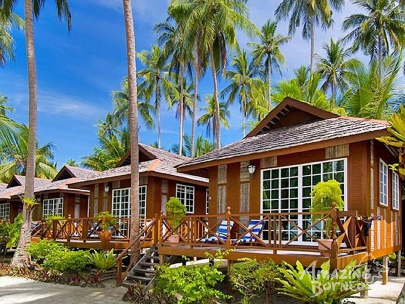 6D5N DANUM VALLEY & SEMPORNA COMBO (BUDGET PACKAGE) - 3D2N DANUM VALLEY FIELD CENTRE & 4D3N SIPADAN-MABUL RESORT - draft - Amazing Borneo Tours