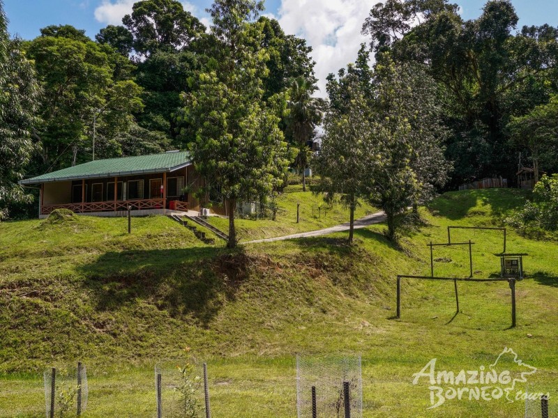 6D5N DANUM VALLEY & SEMPORNA COMBO (BUDGET PACKAGE) - 3D2N DANUM VALLEY FIELD CENTRE & 4D3N SIPADAN-MABUL RESORT - draft - Amazing Borneo Tours