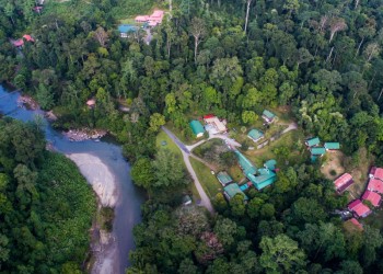 6D5N DANUM VALLEY & SEMPORNA COMBO (BUDGET PACKAGE) - 3D2N DANUM VALLEY FIELD CENTRE & 4D3N SIPADAN-MABUL RESORT - draft