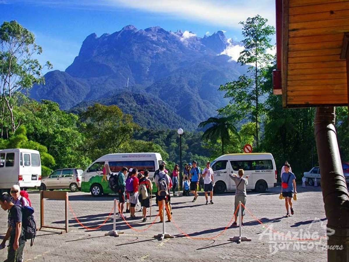 Kinabalu Park & Poring Canopy Walk Tour- Amazing Borneo ...