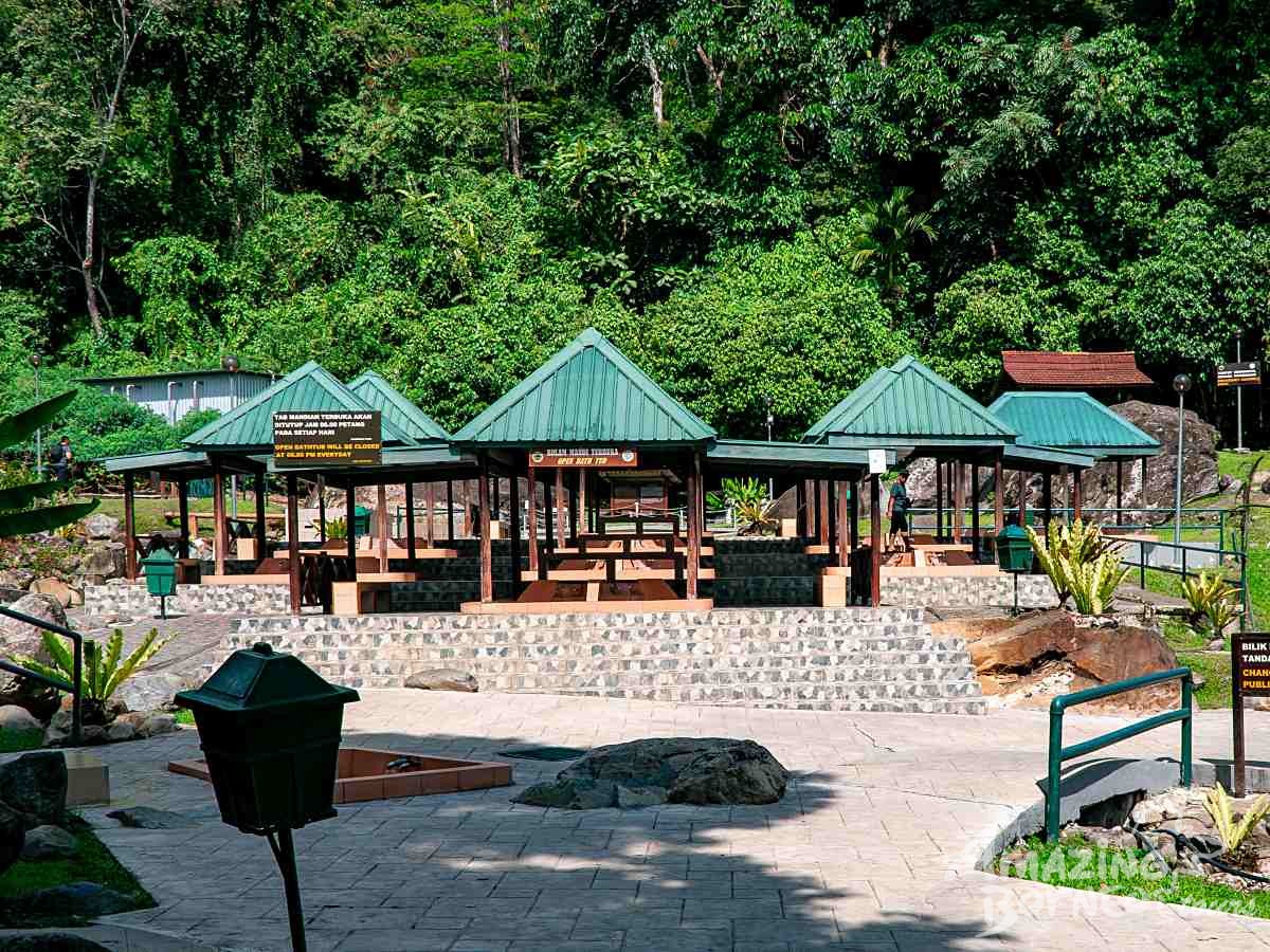 Kinabalu Park & Poring Canopy Walk Tour - Amazing Borneo Tours