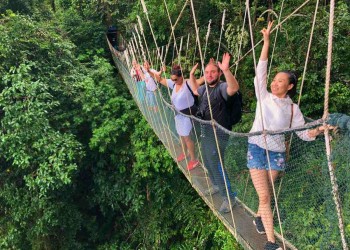Kinabalu Park & Poring Canopy Walk Tour