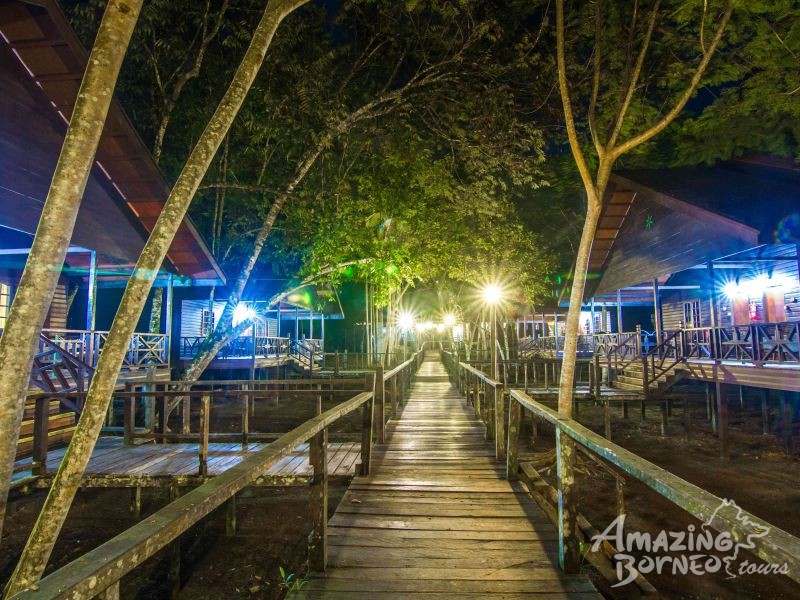 5D4N Wonders Of Kinabatangan River & Danum Valley - Amazing Borneo Tours