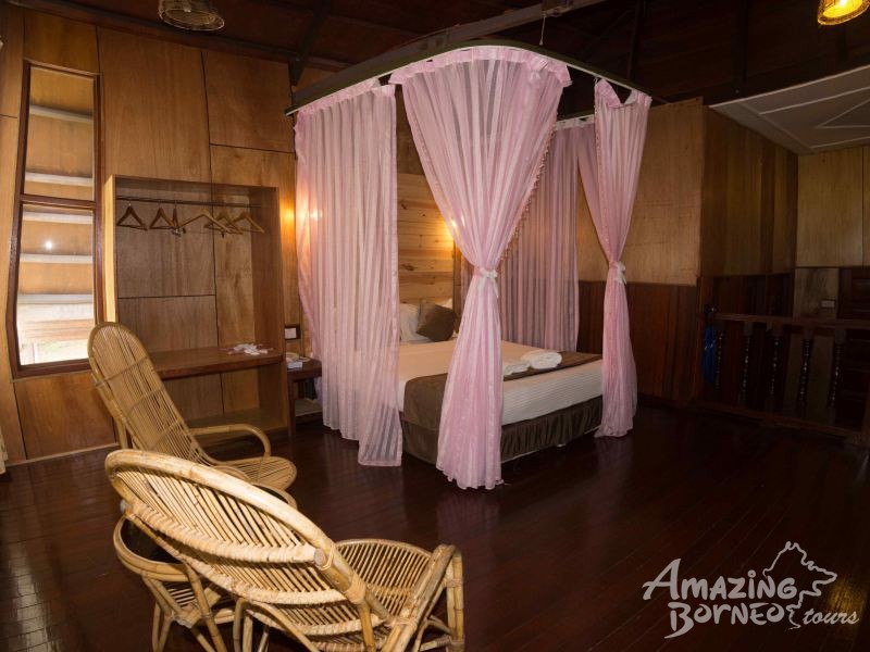 5D4N Wonders Of Kinabatangan River & Danum Valley - Amazing Borneo Tours