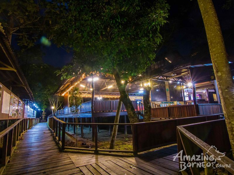 5D4N Wonders Of Kinabatangan River & Danum Valley - Amazing Borneo Tours